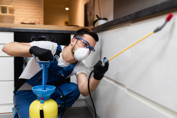 Best Pest Prevention Services  in Youngwood, PA