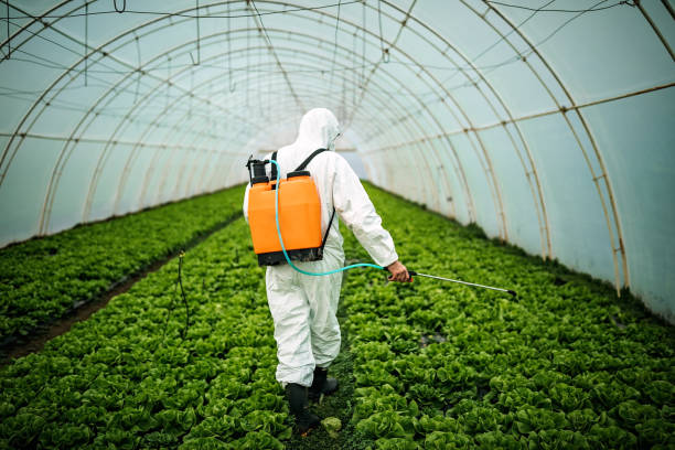Pest Prevention Services in Youngwood, PA