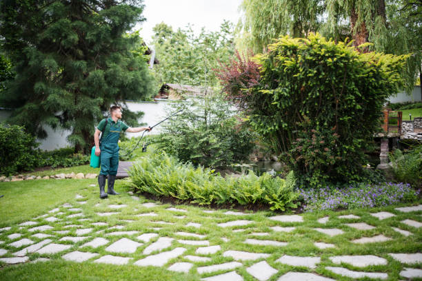 Best Pest Control Near Me  in Youngwood, PA